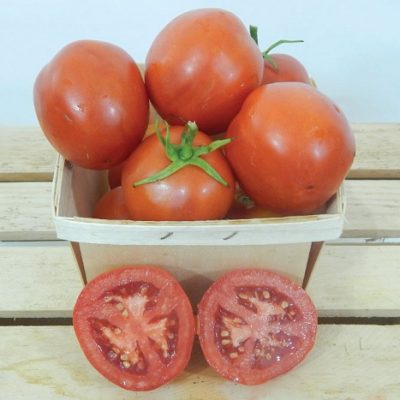 Paradajz ”Moneymaker” (iz 1913. god.)