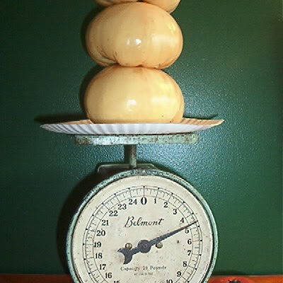 Paradajz “Belo Čudo“