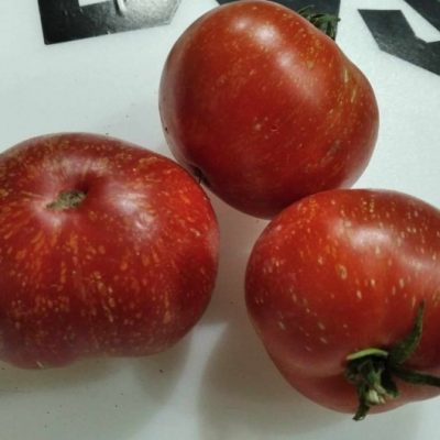 Paradajz "Solar Flare"