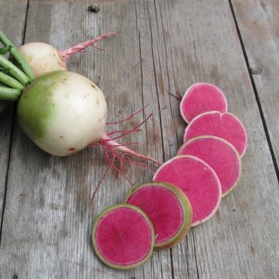 Rotkvica ”Watermelon“