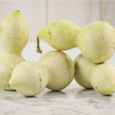 Vrg ”Xiaohulu Gourd“