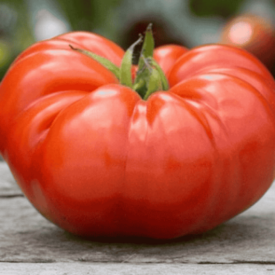 Paradajz Melon Biftek