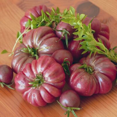 Kalabaš Paradajz iz 1782. god.