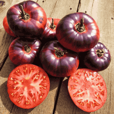 Paradajz "Antociano"