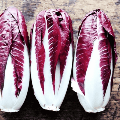 Crvena Endivija "Treviso"